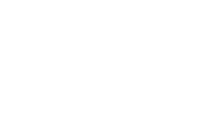 Grupo-Palacio